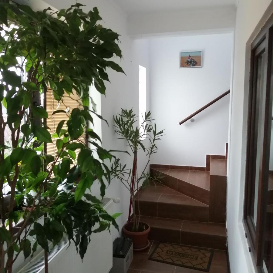 Villa 38 Silviu Apartment Букурещ Екстериор снимка